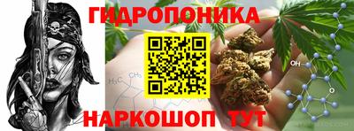 амфетамин Кингисепп