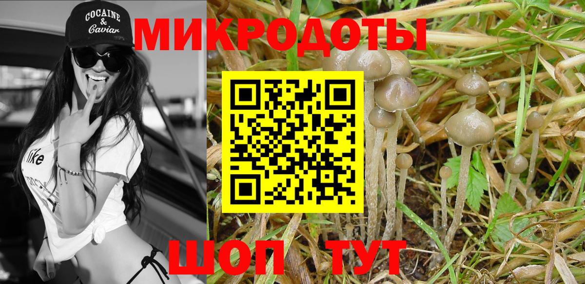 Галлюциногенные грибы мицелий  купить наркотик  Псилоцибиновые грибы MAGIC MUSHROOMS  Ленинск-Кузнецкий  Вход с VPN 