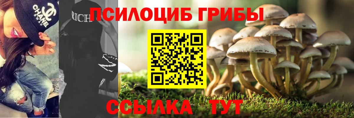 Псилоцибиновые грибы Magic Shrooms Ленинск-Кузнецкий